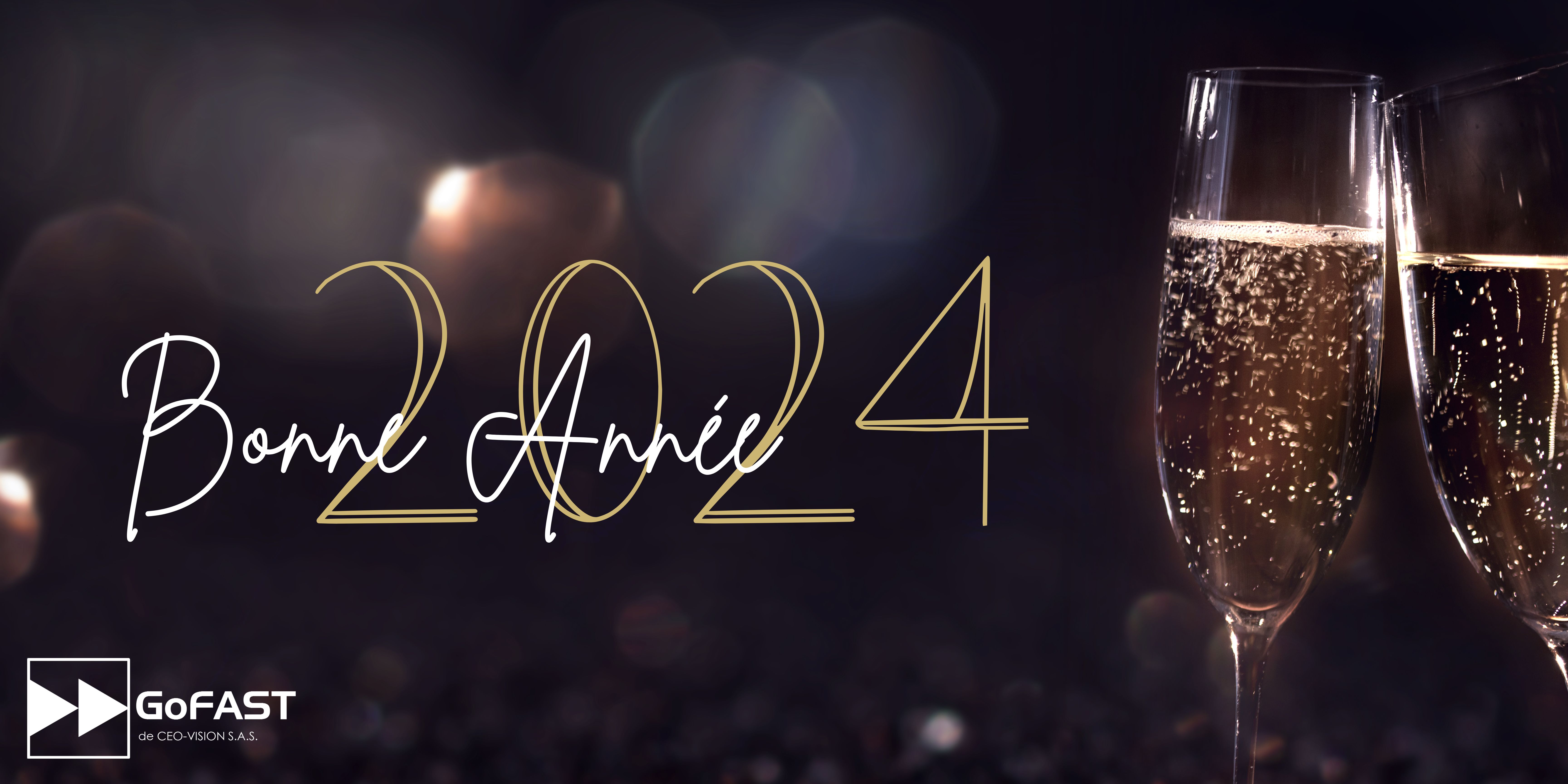 ceo-vision-editeur-gofast-bonne-annee-2024