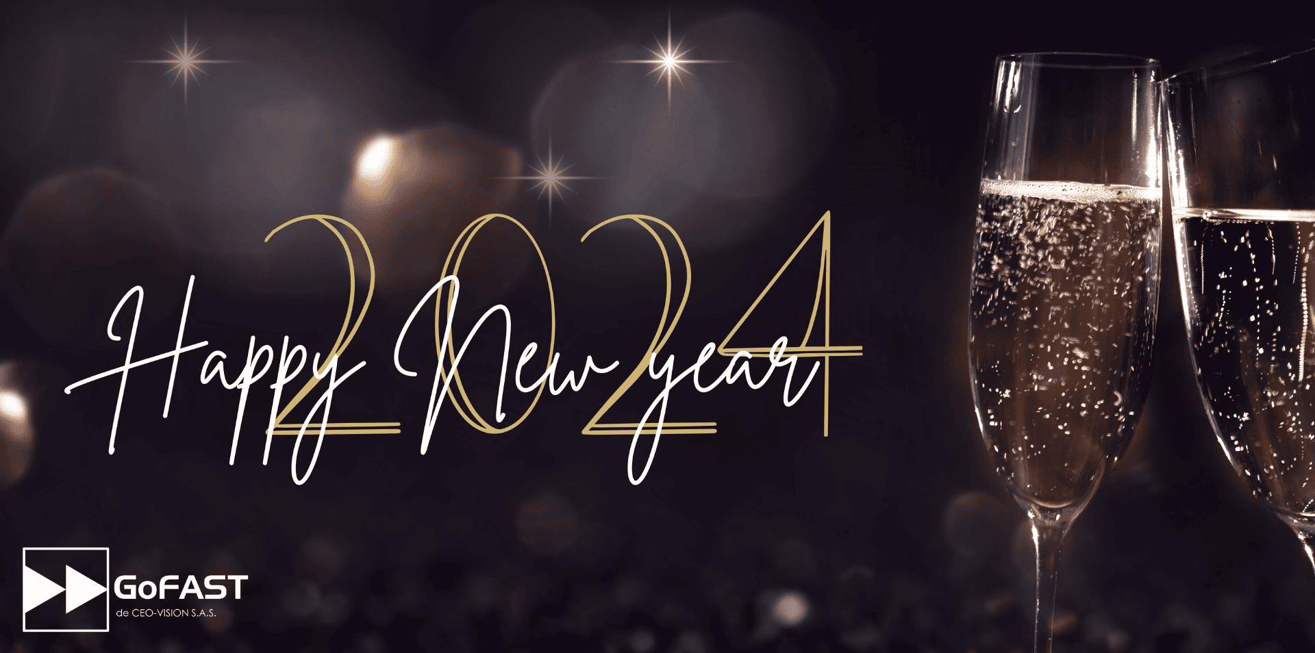 ceo-vision-wishes-you-a-beautiful-and-happy-year-2024